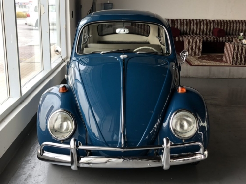 Volkswagen Beetle 